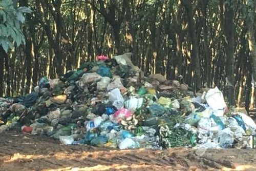Đồng Nai: Bãi rác tập kết sát đường đi, gây ô nhiễm môi trường nghiêm trọng
