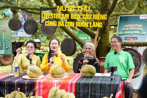 Bí thư xã ở Đắk Lắk livestream bán sầu riêng giúp nông dân