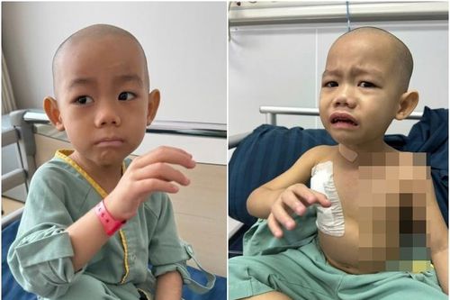 Mẹ sinh thêm em bé để ghép tủy cứu con trai mắc bệnh hiểm nghèo