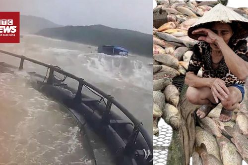 Ngư dân Quảng Trị xót xa nhìn bè cá trôi dạt, thiệt hại hàng tỷ đồng