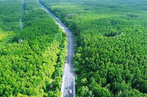Phát triển giao thông xanh tại thành phố Hồ Chí Minh:Bài 3: Giao thông xanh cho Cần Giờ và Côn Đảo