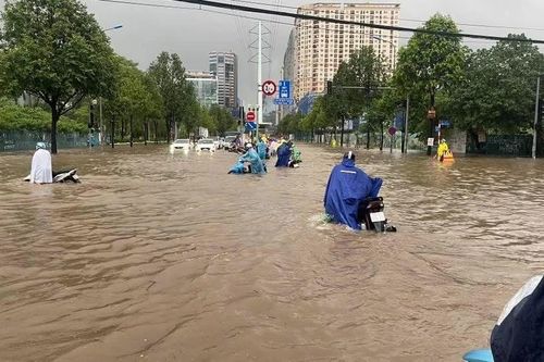 Cách tra cứu điểm ngập lụt tại Hà Nội bằng ứng dụng trên điện thoại