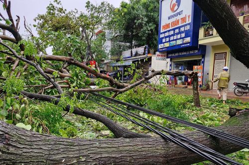 Đã có 3 người chết, 13 người bị thương do bão số 5
