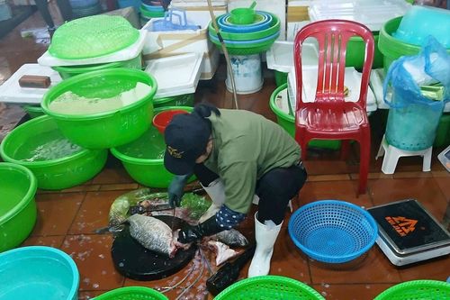 Quảng Ninh: Hải sản khan hiếm, giá tăng cao do biển động