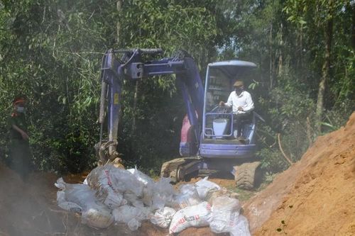 Quảng Ngãi: Tiêu hủy 800 con vịt dương tính với virus cúm A H5N1