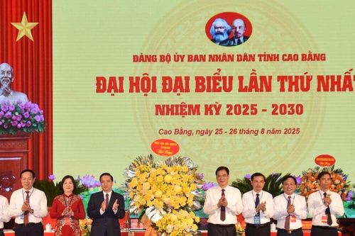Cao Bằng đẩy mạnh chuyển đổi số gắn với xây dựng bộ máy chính quyền hiện đại