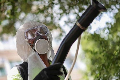 Bộ Y tế thông tin về bệnh Chikungunya ở Việt Nam