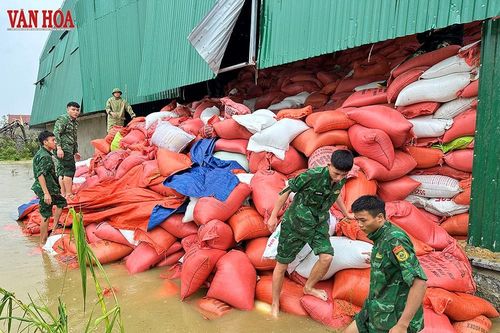 Kho thóc 10 tỉ bị ngâm nước sau bão số 5