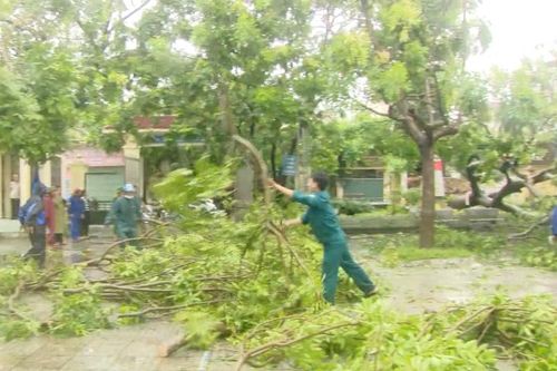 Nghệ An khẩn trương khắc phục hậu quả nặng nề sau bão số 5 Kajiki