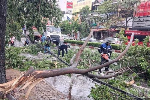 Bão số 5 gây thiệt hại nặng tại nhiều địa phương
