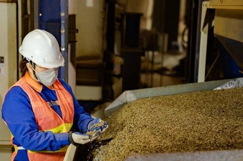 Giá cà-phê Việt Nam đạt mức cao tại thị trường Nhật Bản