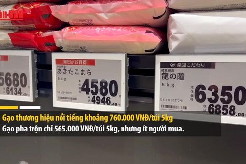 Giá gạo tại Nhật Bản tiếp tục tăng tuần thứ hai liên tiếp