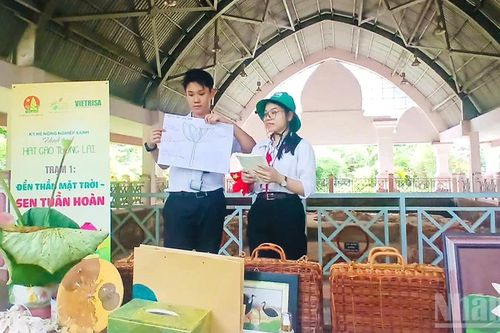 Đồng Tháp: Kỳ hè nông nghiệp xanh 'Hành trình hạt gạo tương lai'