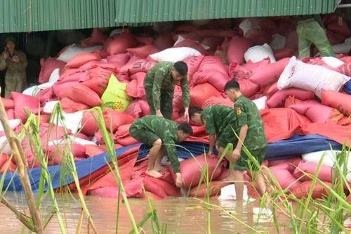 Biên phòng Hà Tĩnh, Nghệ An giúp nhân dân sau bão số 5