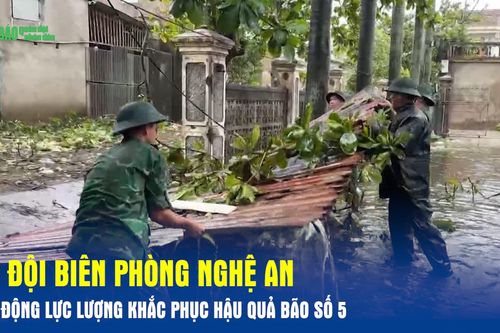 Bộ đội Biên phòng Nghệ An huy động lực lượng khắc phục hậu quả bão số 5
