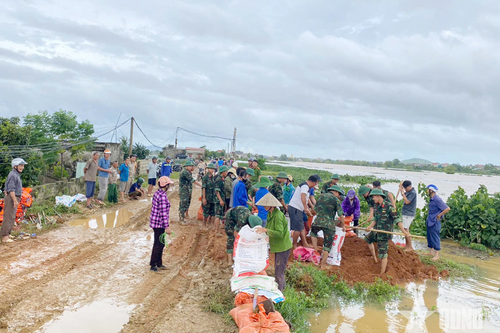 200 cán bộ, chiến sĩ Sư đoàn 390, Quân đoàn 12 gia cố đê sông Hoạt ở xã Hà Long (Thanh Hóa)