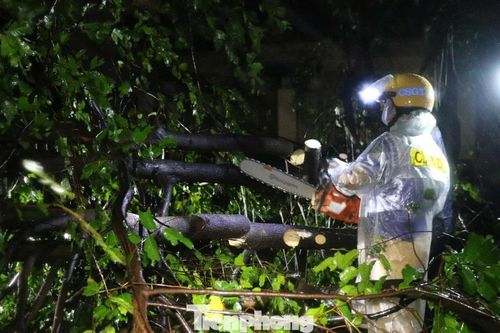 Công an Nghệ An xuyên đêm dọn cây đổ, giải cứu người dân mắc kẹt