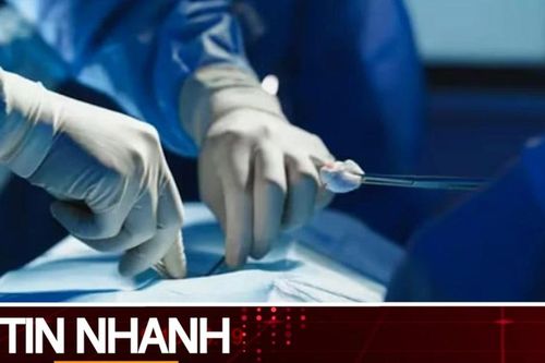 TIN NHANH: Bé 3 tuổi mất tích khi đi vườn cùng bà; Lần đầu cấy ghép thành công phổi lợn vào người