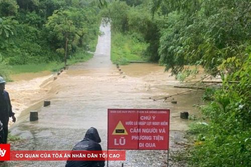 Xuyên đêm cứu tuyến đê biển bị sạt lở