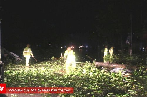 Xuyên đêm dọn cây đổ, CSGT Nghệ An mở đường giữa tâm bão