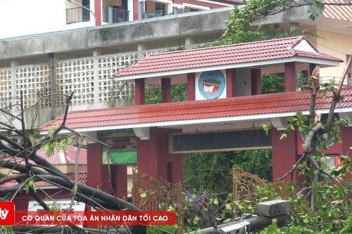 Tan hoang sau bão số 5 - Hàng trăm cây xanh gãy đổ