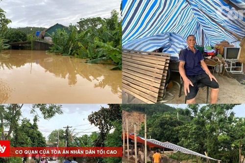 Nhà cửa ngập sâu, nhiều hộ dân mang đồ đạc, vật nuôi lên bờ đê chạy lũ