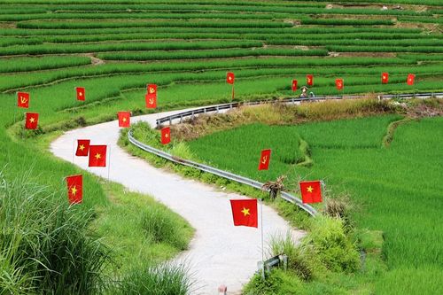 Du khách mê mẩn check-in con đường cờ đỏ sao vàng đẹp như tranh dịp Quốc khánh
