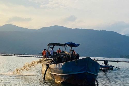 Phát hiện, lập biên bản vi phạm đối với tàu bơm hút cát trái phép