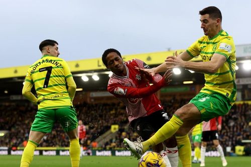 Nhận định, dự đoán Norwich vs Southampton: Chủ nhà gãy cánh