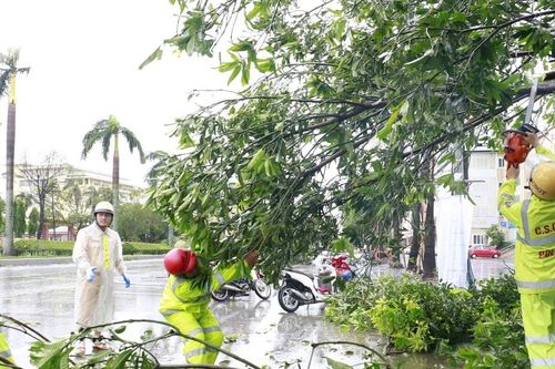 Cảnh sát giao thông Nghệ An kịp thời xử lý cây gãy đổ, đảm bảo an toàn giao thông sau bão số 5