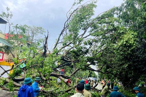 Xuyên trưa cắt dọn cây gãy đổ, nhanh chóng đảm bảo giao thông an toàn cho người dân