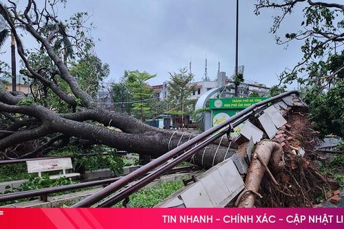 Nhiều đường phố Hà Tĩnh ngổn ngang sau bão số 5