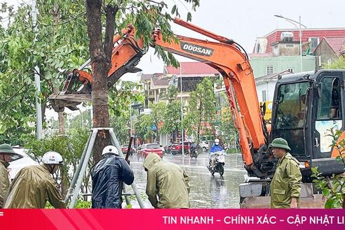 'Cứu' cây xanh sau bão số 5 ở đô thị trung tâm Hà Tĩnh