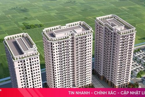 Ruby Park mang đến không gian sống lý tưởng cho mọi thế hệ
