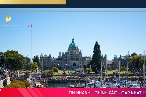 Điều kiện và lộ trình định cư Canada diện PNP thành công