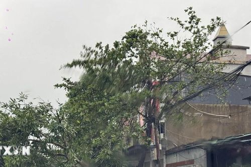 Hà Tĩnh: Nhà tốc mái, cây xanh ngã đổ ngổn ngang sau bão số 5