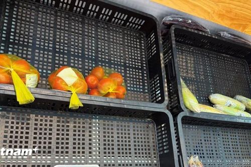 Dự trữ và bảo quản thực phẩm hợp lý, đúng mức trong mùa bão
