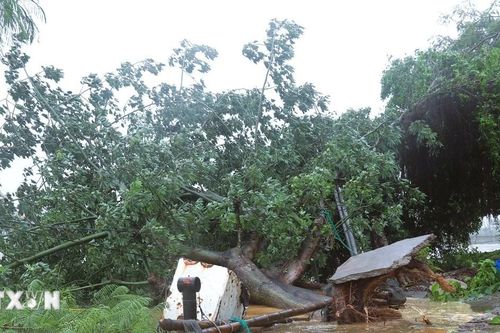 Ngổn ngang trên nhiều tuyến đường ở xã ven biển Nghệ An sau bão số 5
