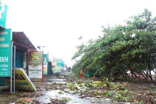 Nghệ An: Thiệt hại kinh tế lên tới 846 tỷ đồng, nhiều địa phương vẫn đang mất điện diện rộng