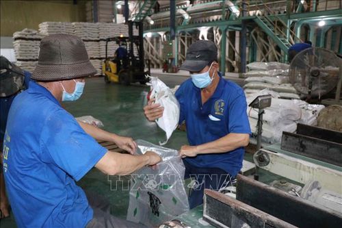 Cửa ngõ Tây Nam vươn mình hội nhập (Bài cuối)