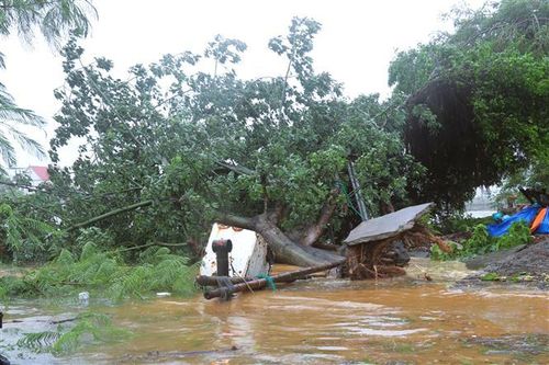 Ảnh hưởng bão số 5: Nghệ An thiệt hại nặng nề sau bão