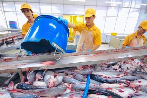 Doanh thu từ Mỹ và EU bù đắp đà giảm của Vĩnh Hoàn tại Trung Quốc