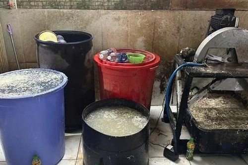 Phát hiện một cơ sở sơ chế thực phẩm dùng hóa chất sơ chế hoa chuối