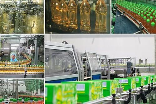 Lý do hàng triệu người tin dùng Trà Xanh Không Độ trong suốt gần 2 thập kỷ qua