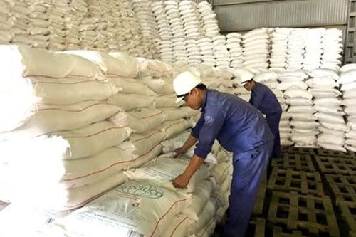 Ngành mía đường gặp khó, Thủ tướng chỉ đạo hỗ trợ doanh nghiệp