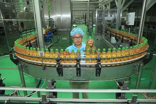 Hợp tác quốc tế tạo giá trị đột phá cho Trà Xanh Không Độ