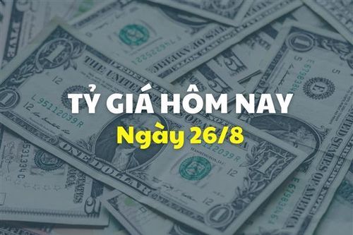Tỷ giá hôm nay 26/8: Giá USD giảm tiếp trong khi giá NDT nhích tăng