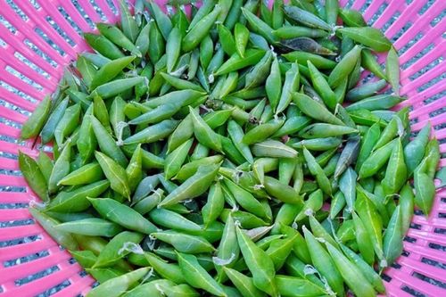 'Tôm rừng' Tây Nguyên: Ngoại hình khiến nhiều người rùng mình nhưng không phải muốn mua là được