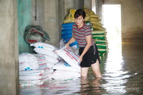 Thanh Hóa: Nước lũ tràn vào bất ngờ, 'nuốt chửng' 15 tấn phân bón trong chớp mắt