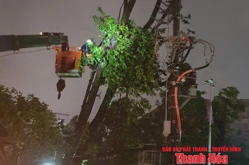 55/166 xã, phường mất điện lưới, gần 334 nghìn khách hàng bị ảnh hưởng
